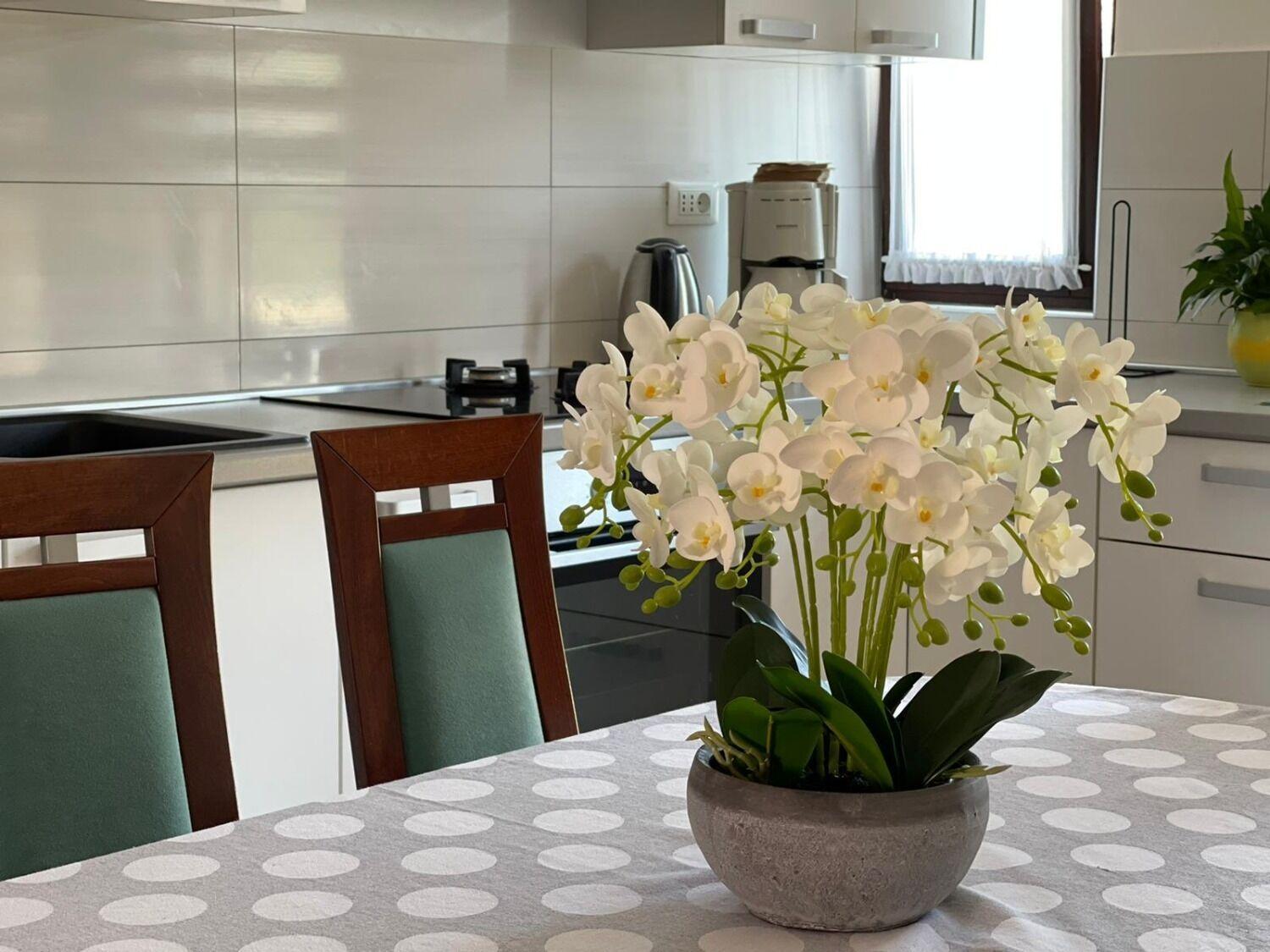 Apartment Bilja Rogoznica  Dış mekan fotoğraf