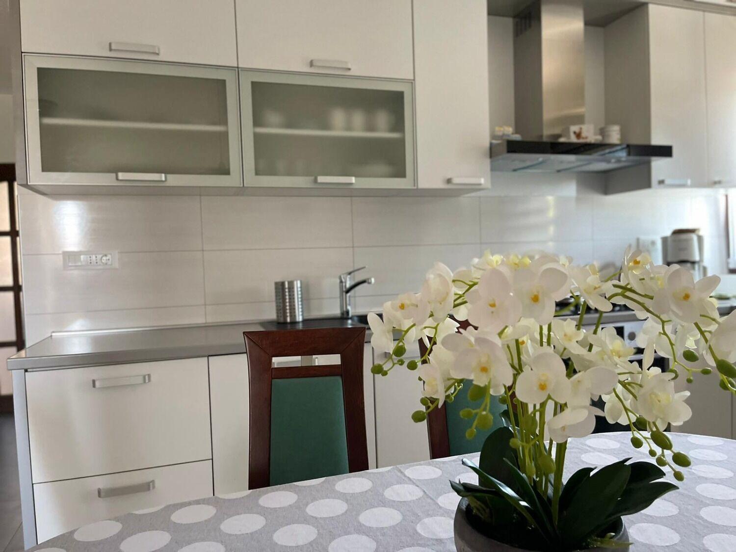 Apartment Bilja Rogoznica  Dış mekan fotoğraf